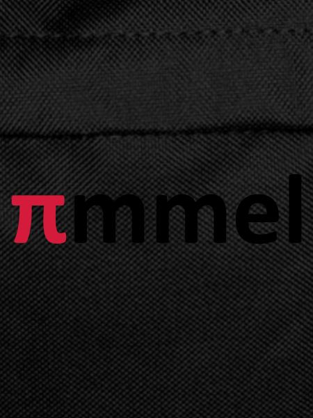 pmml 2c bold
