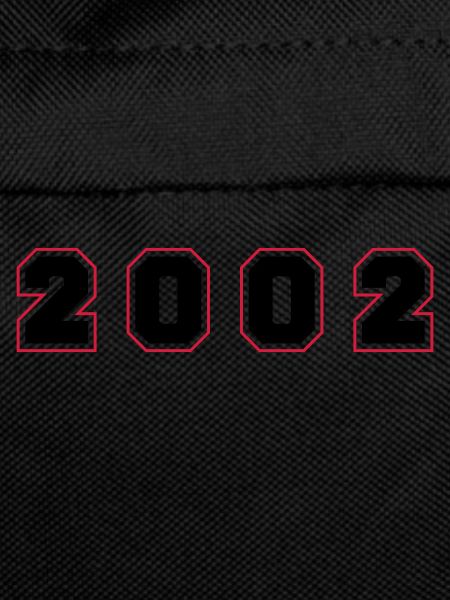 2002 Year Number