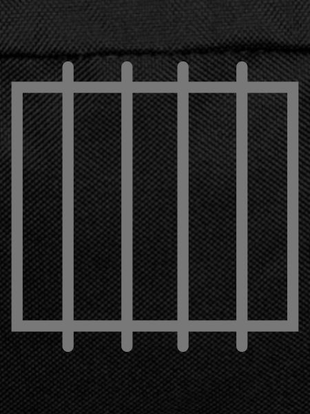 Jail Window