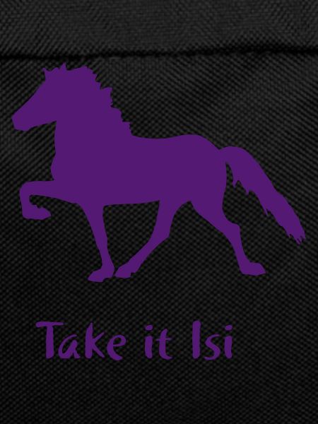 Islandpferd - Take it Isi