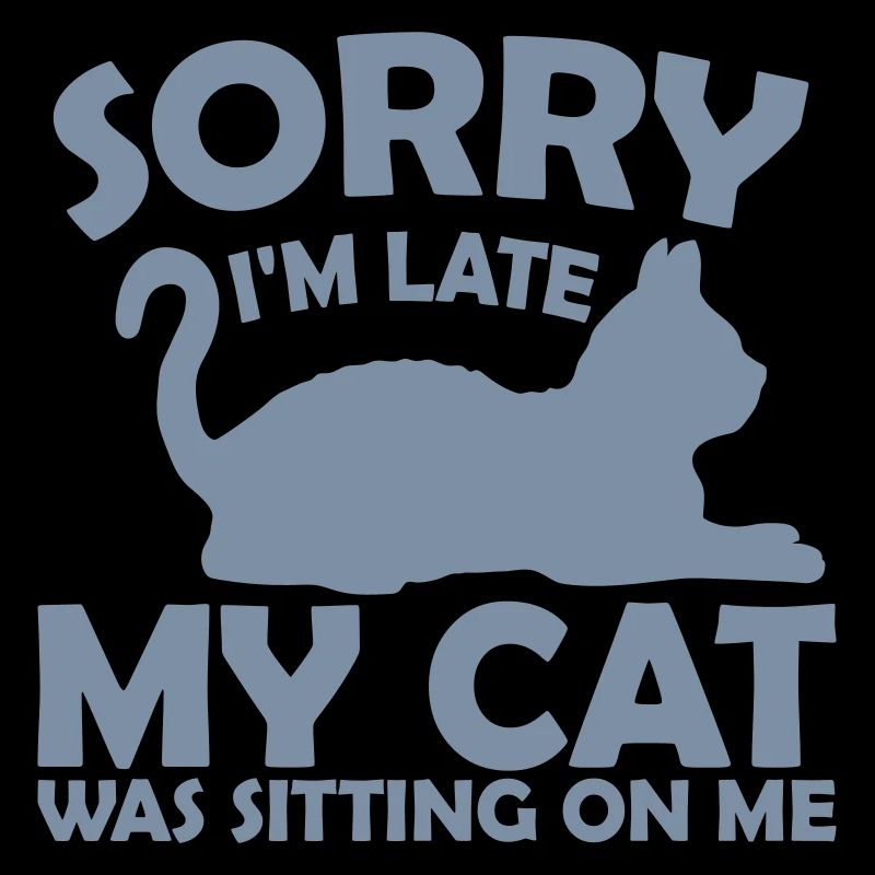 désolé chat était assis