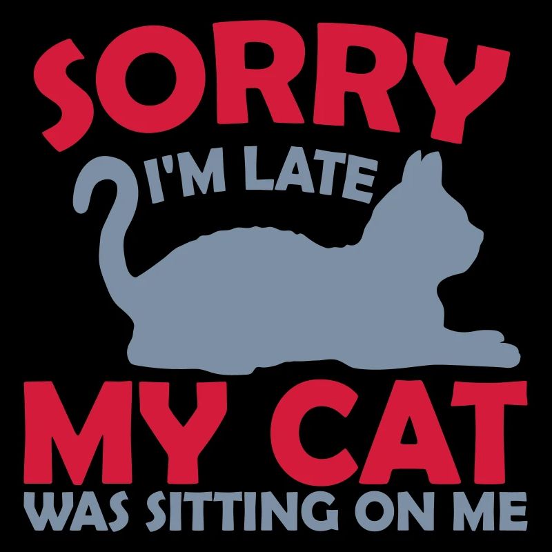 désolé chat était assis