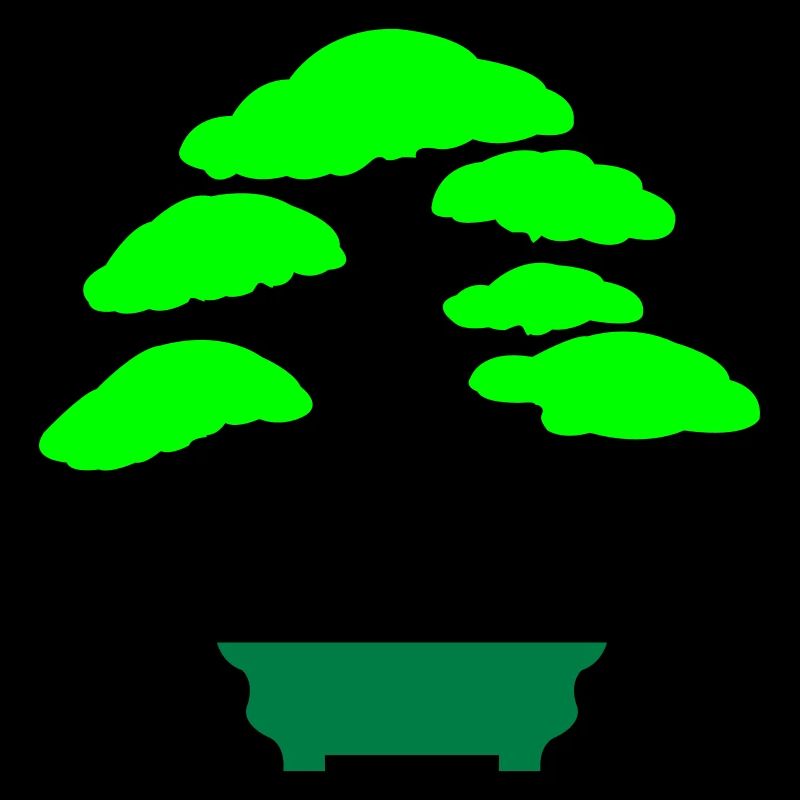 bonsai baum