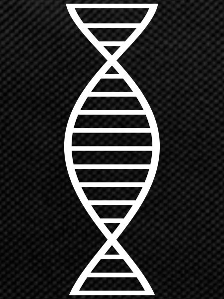 DNA
