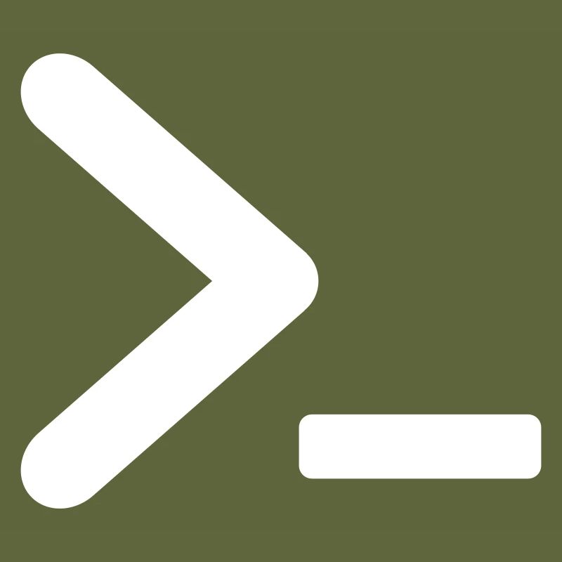 >_ OS program prompt