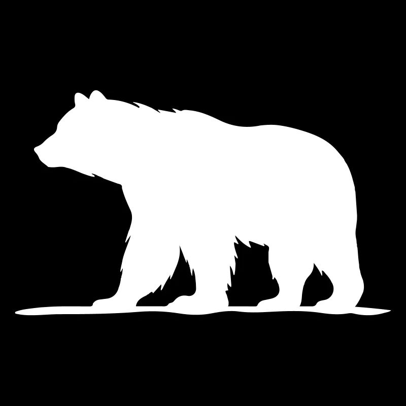 Bär