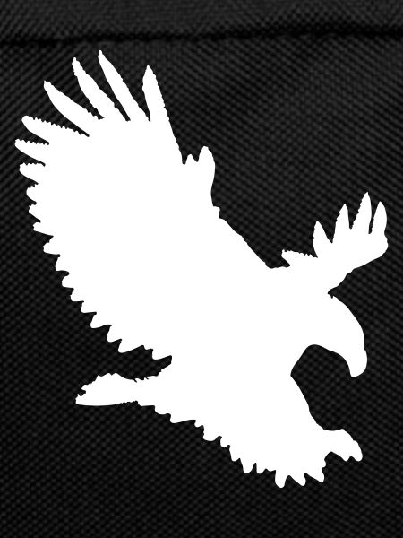 Eagle approaching