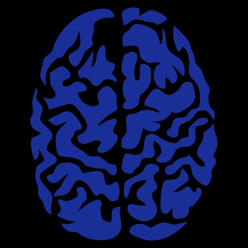 brain seen on drawing