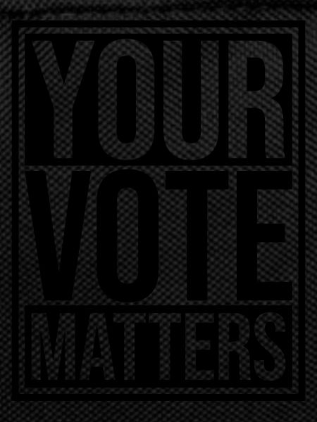 your vote matters quote