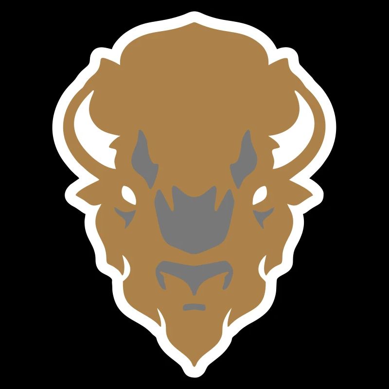 Indian Buffalo Bison colouring