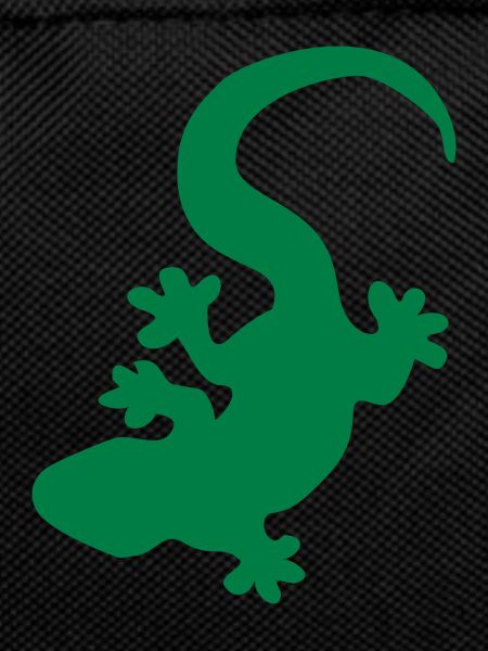 lizard