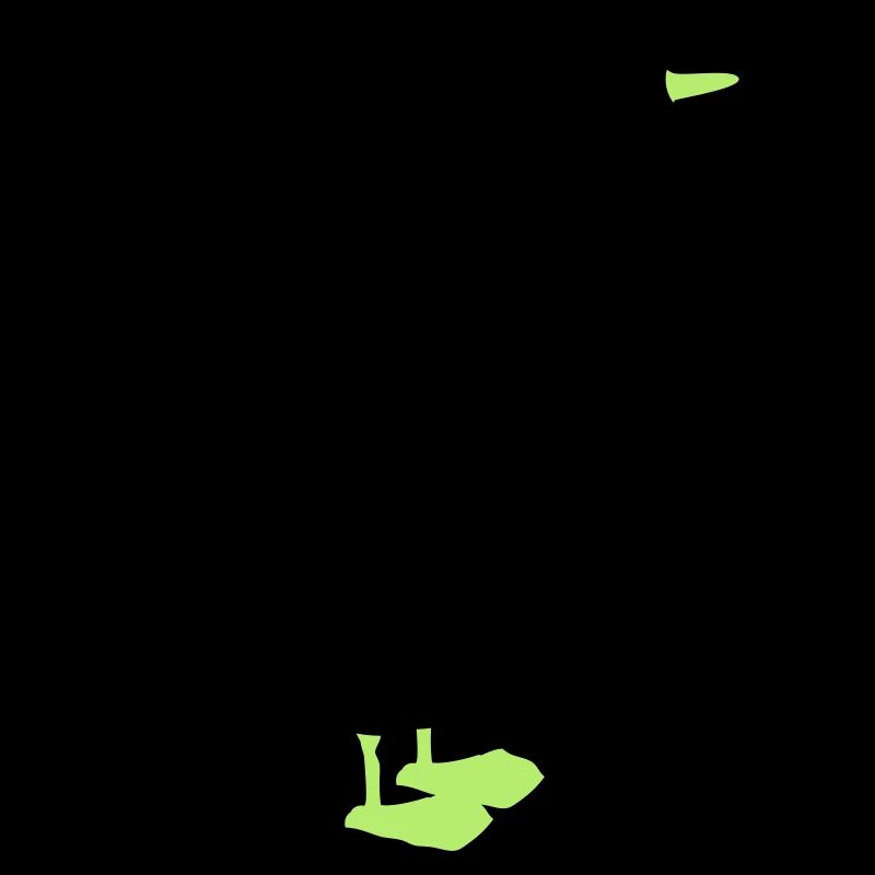 gans