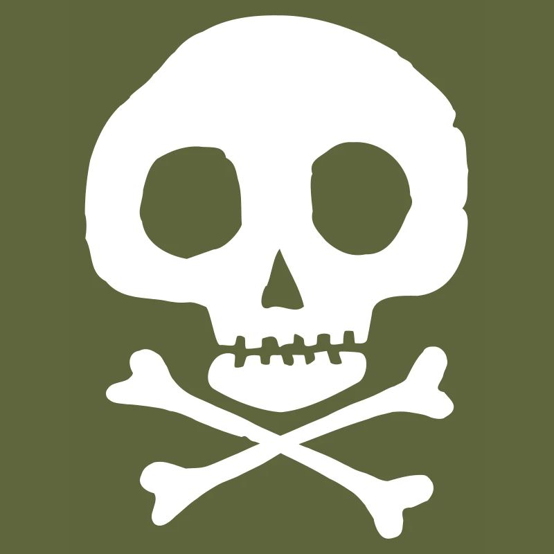 Skull and bones