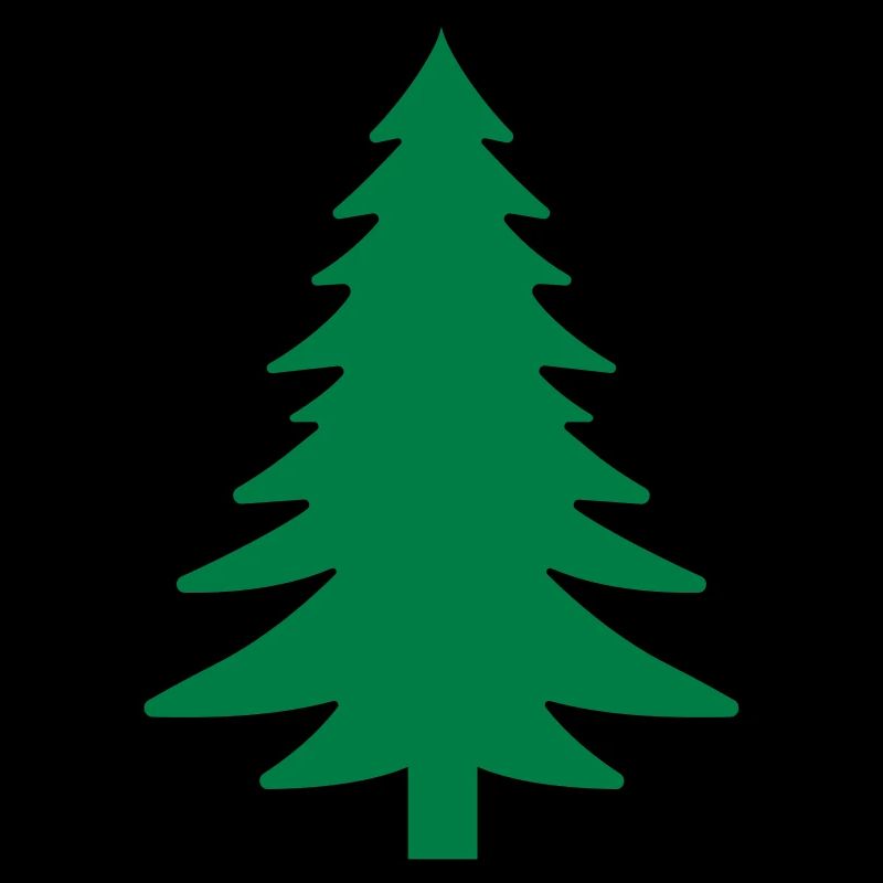 Fichte, Tanne, Wald
