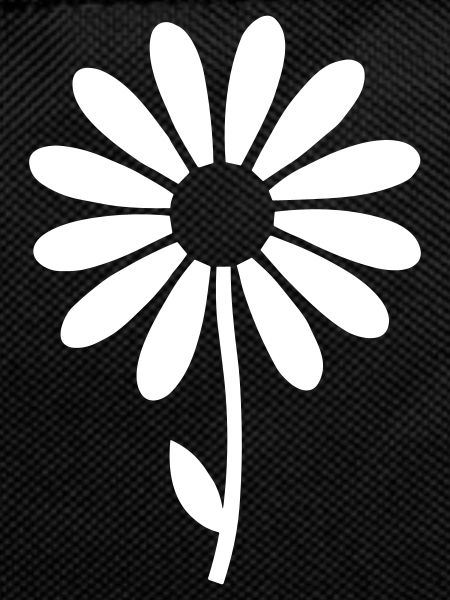 Daisy Blossom