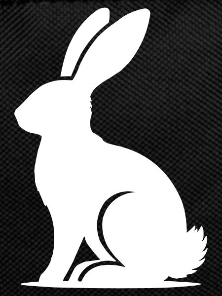 hase