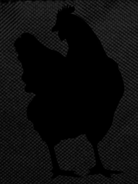poulet