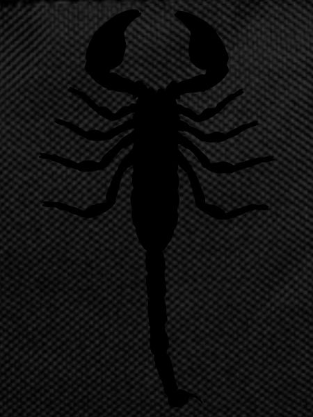 Scorpion