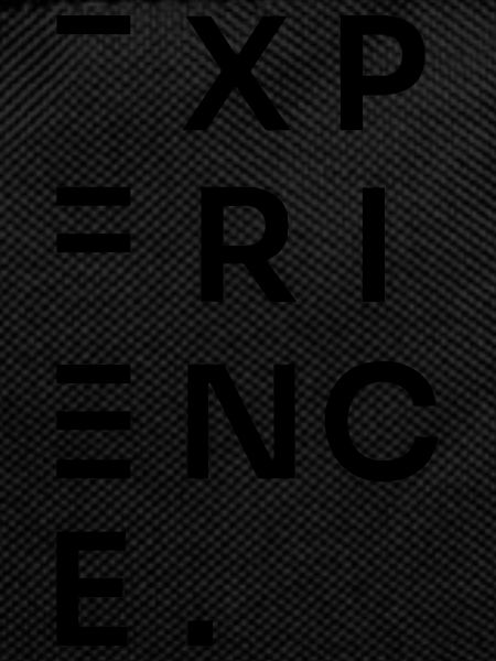EXPERIENCE