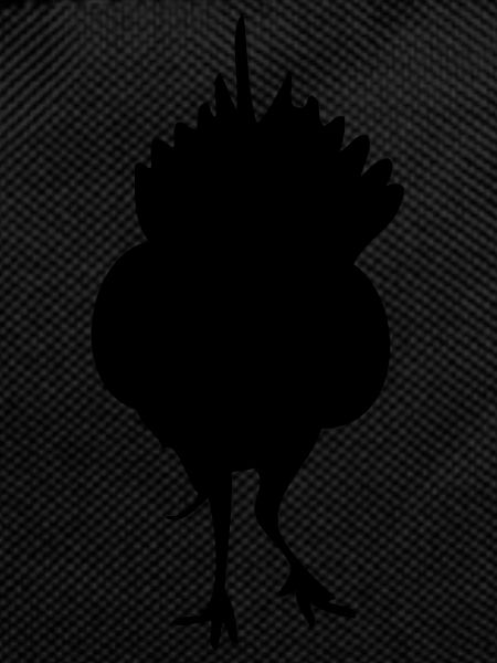 guinea fowl