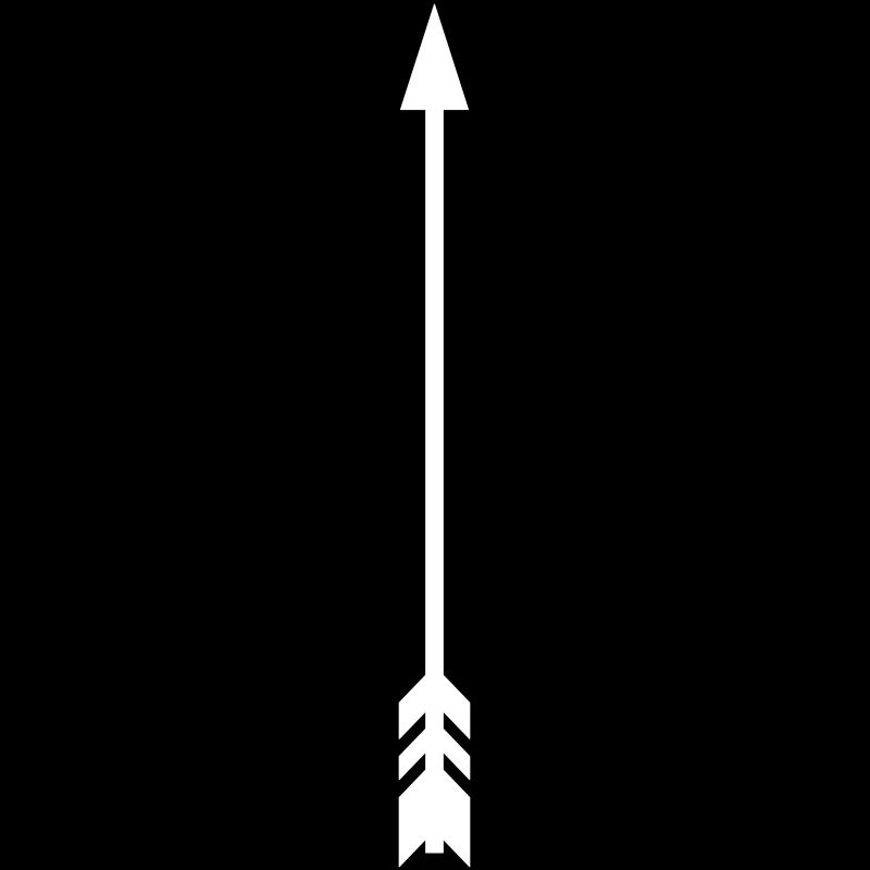 Vecteur de flèche