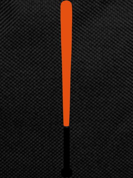 baseball bat