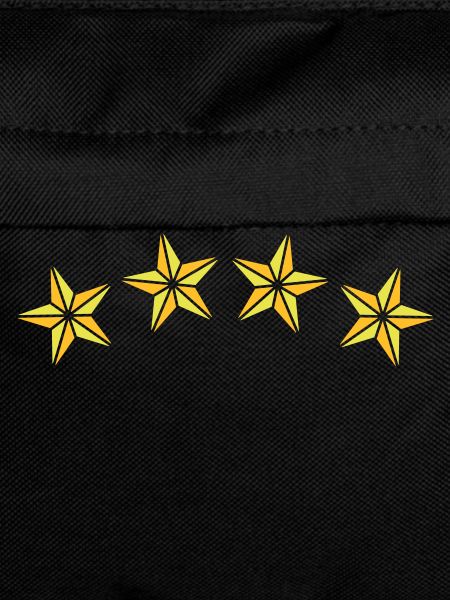 4 Sterne / 4 stars (2c)