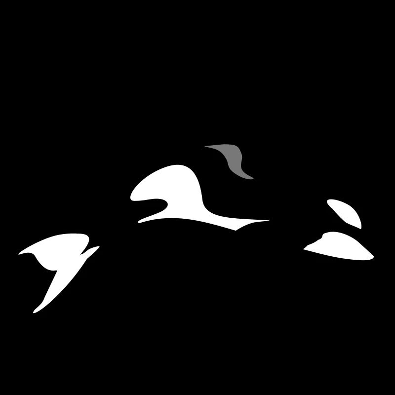 orca
