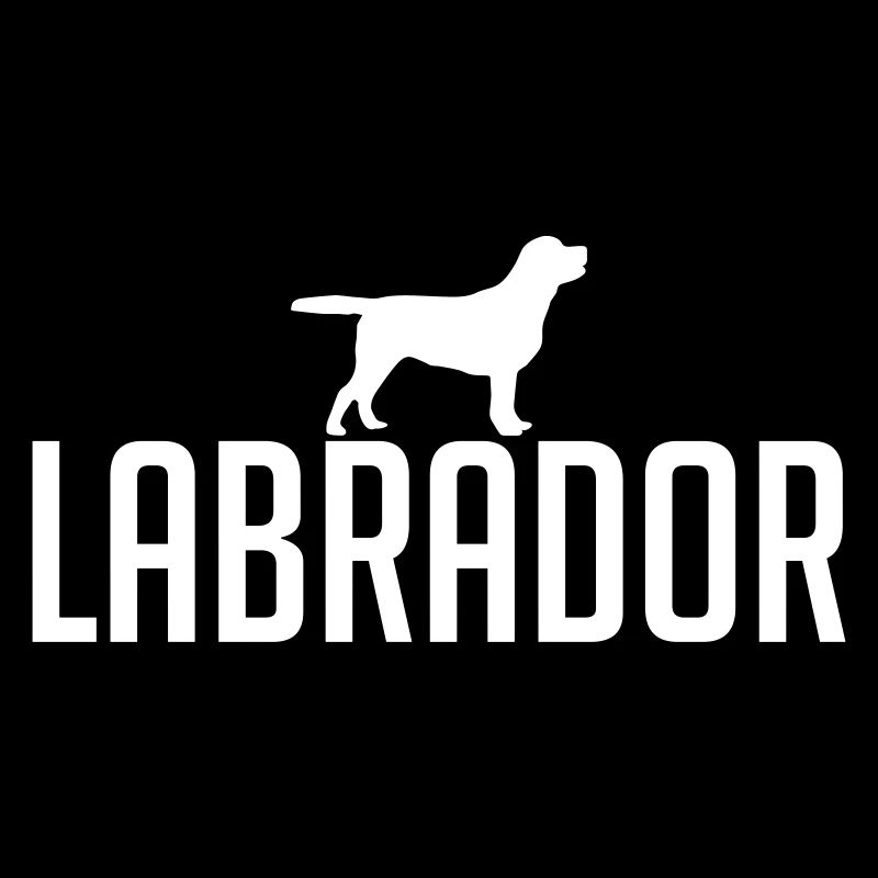 LABRADOR Dog
