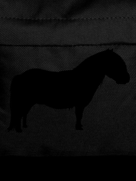 Shetty Shetland pony horse