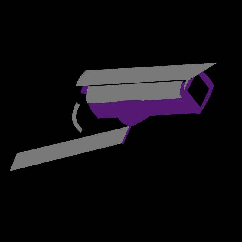 Security camera