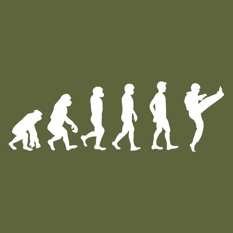 Evolution Karate