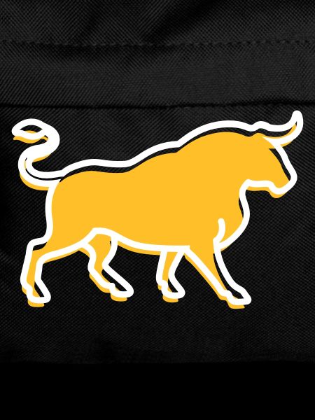 A Wild Bull