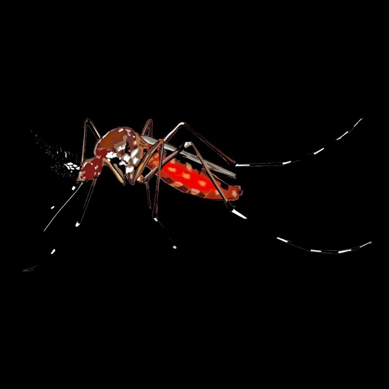 Mosqui 2