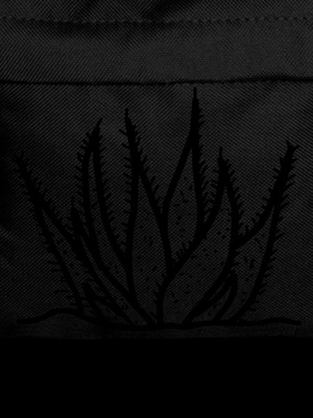 Aloe vera agave cactus drawing