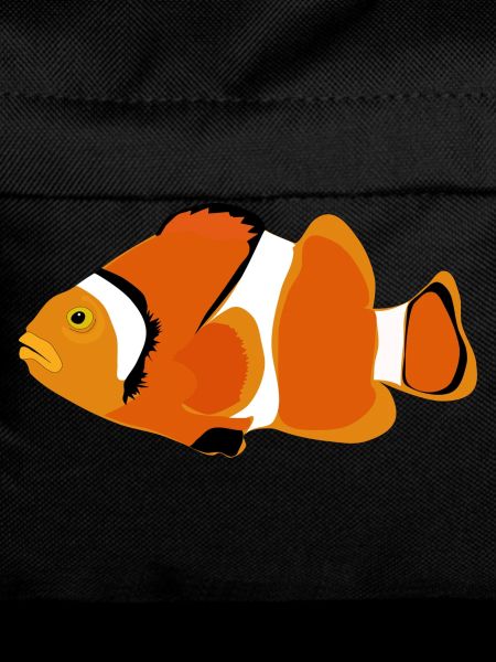 Clownfisch