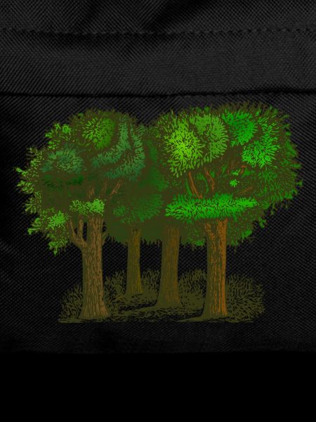 Wald