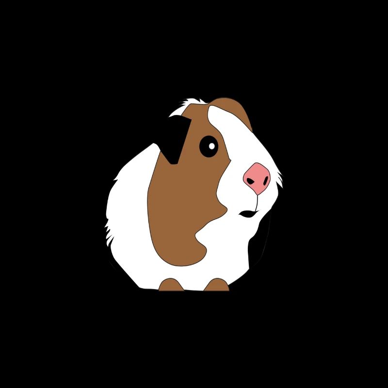 Guinea pig