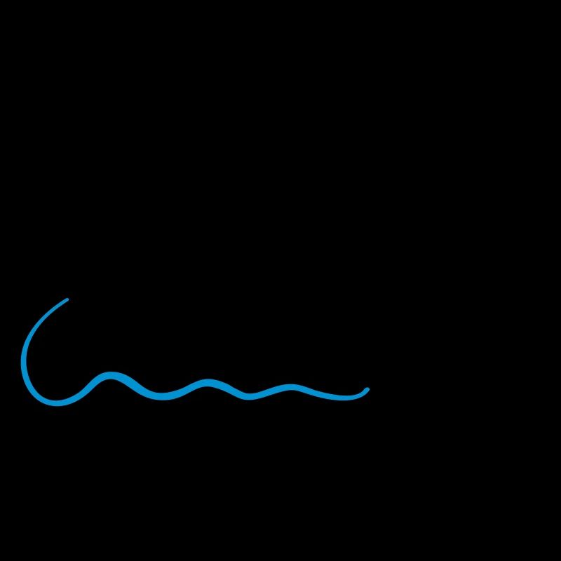 Feather writer author gift