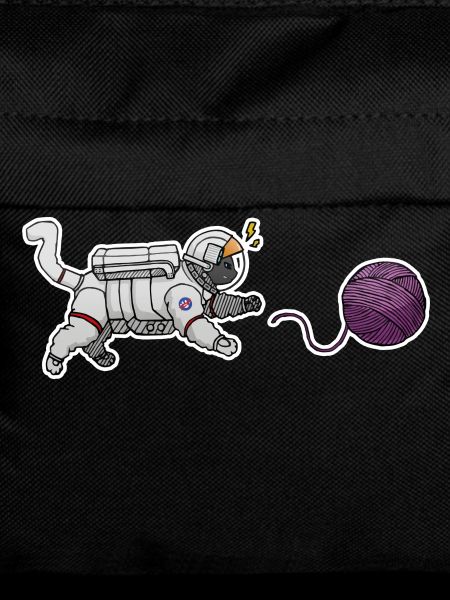 Astronaut cat