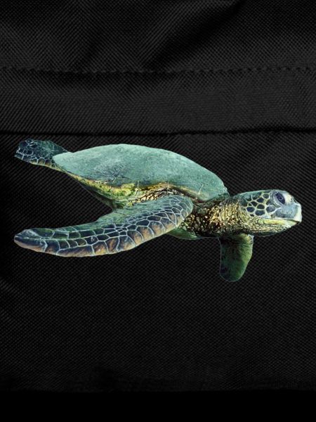 turtle schildkroete tiere animals6