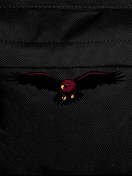 Aigle, Eagle
