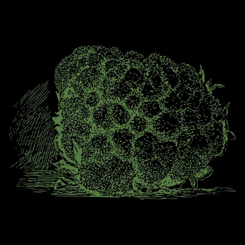 chou-fleur du chou-fleur légume Halloween
