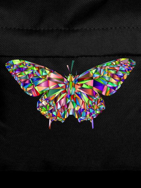 Butterfly mosaic