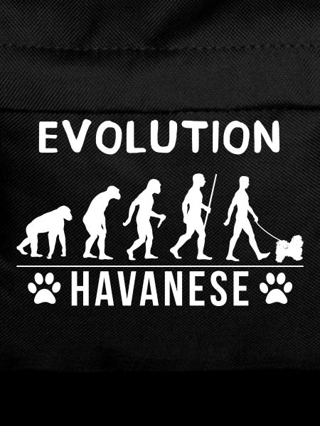 Havanese Evolution