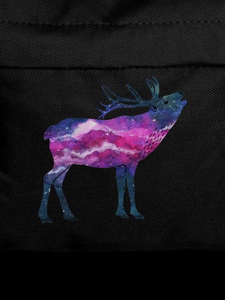 Space Hirsch