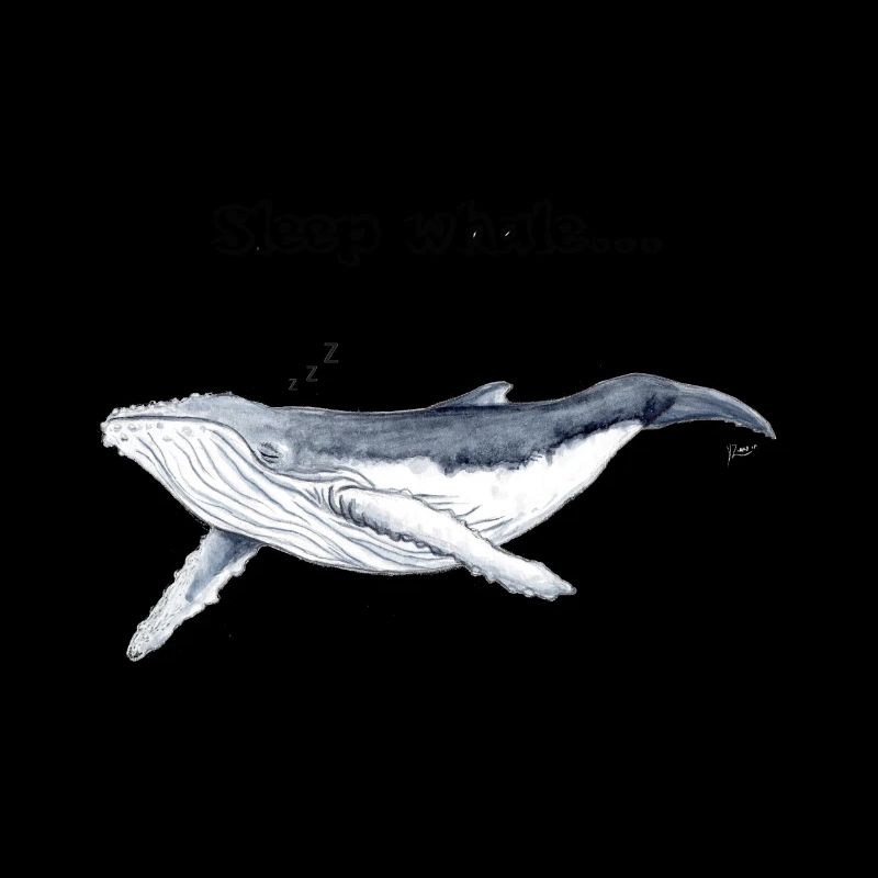 Baleines bonnes nuits de sommeil - baleines Zzz - Baleine