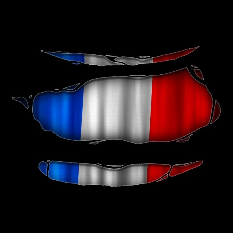 France flag torn 017