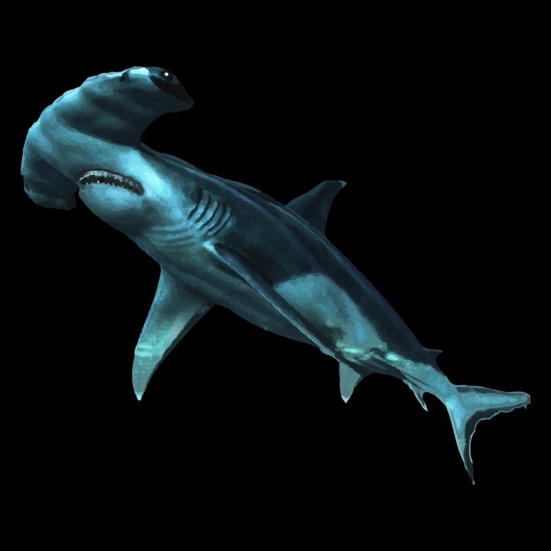 shark