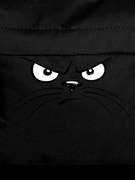 angry cat